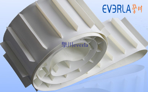 擋板<a href='http://dsjvvrk.cn/shusongdai/' target='_blank'><u>輸送帶</u></a>的圖片1