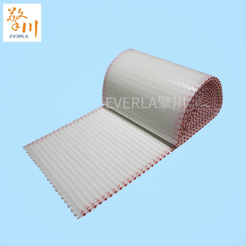 鏈板<a href='http://dsjvvrk.cn/shusongdai/' target='_blank'><u>輸送帶</u></a>定制