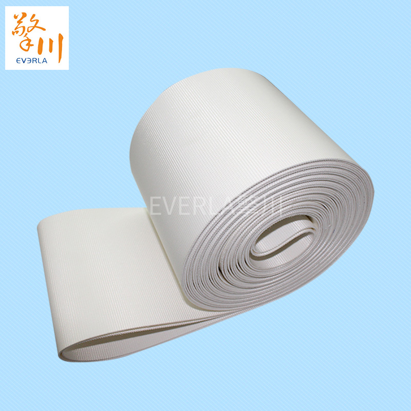 優(yōu)質(zhì)的食品pvc<a href='http://dsjvvrk.cn/shusongdai/' target='_blank'><u>輸送帶</u></a>主圖