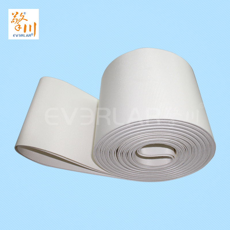 食品皮帶<a href='http://dsjvvrk.cn/shusongdai/' target='_blank'><u>輸送帶</u></a>