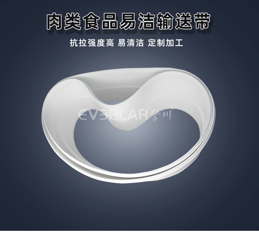 肉類食品易清潔<a href='http://dsjvvrk.cn/shusongdai/' target='_blank'><u>輸送帶</u></a>詳情頁01