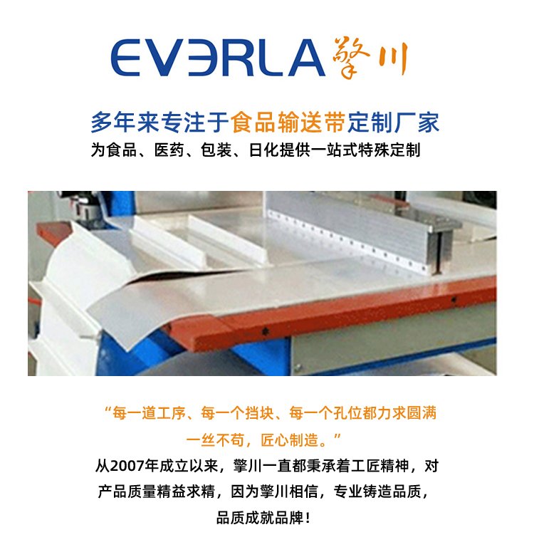 雙面纖維<a href='http://dsjvvrk.cn/shusongdai/' target='_blank'><u>輸送帶</u></a>
